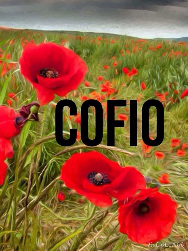 Canolfan Iaith Conwy (@canolfaniaithco) on Twitter photo 