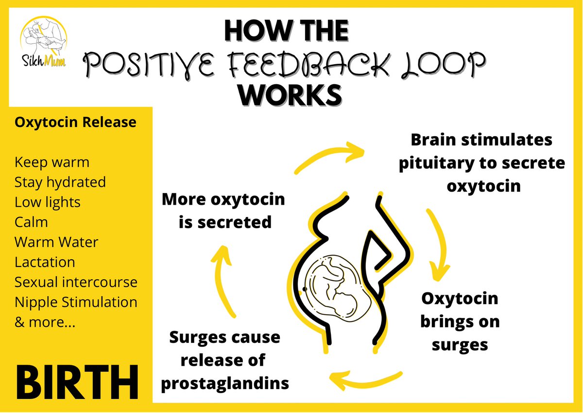 navrupkaur's tweet image. This is what I have been learning about and working on… and oh my Vaheguru. It’s amazing!!!! And all God given 💥💥💥

Pregnant mama’s, embrace the #positivefeedbackloop and experience a blissful birth! #sikhmum #sikhmumdoula