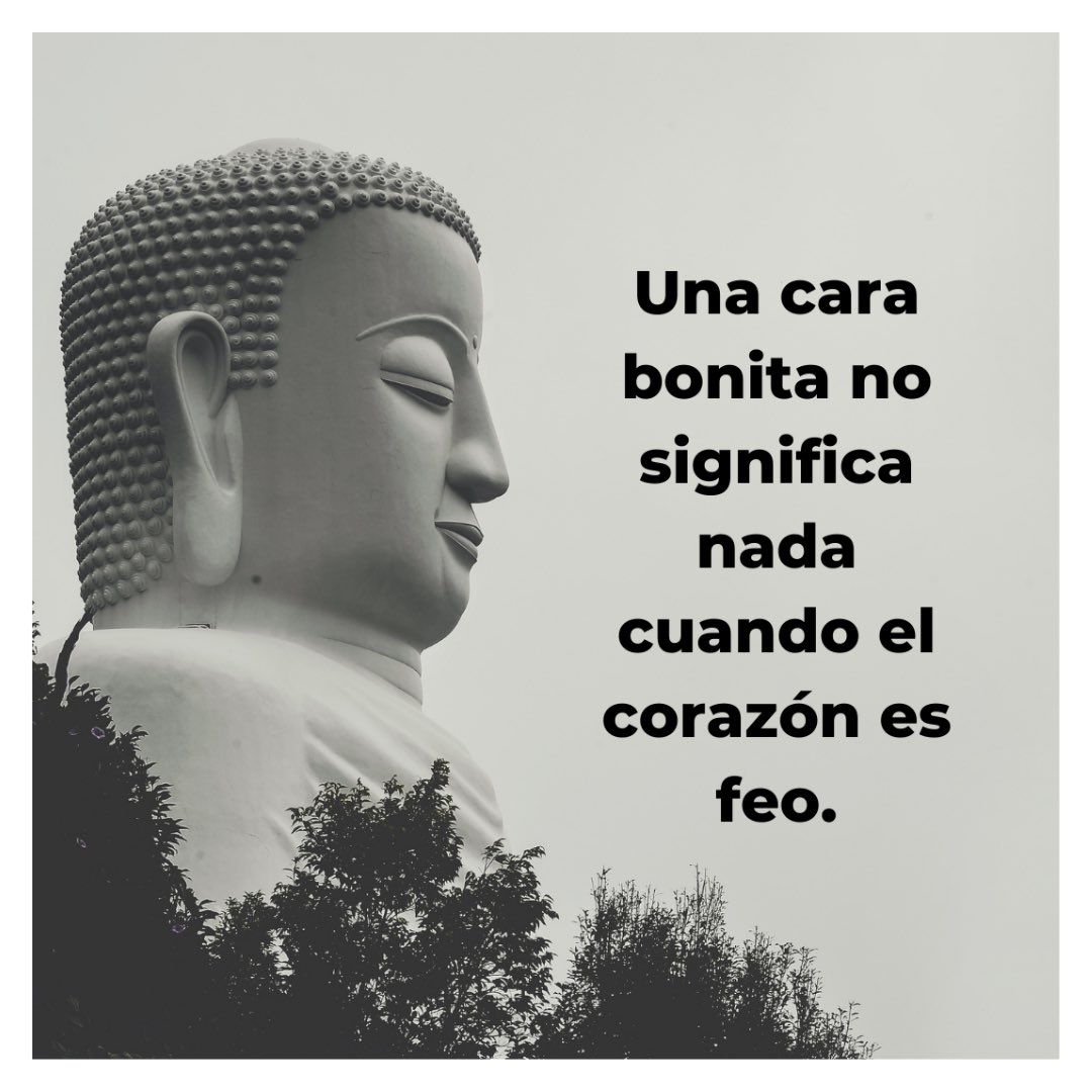 vision_especial's tweet photo. Lo primero es el corazón… 🙏🏼 #FelizJueves https://t.co/42pJ46gHx9