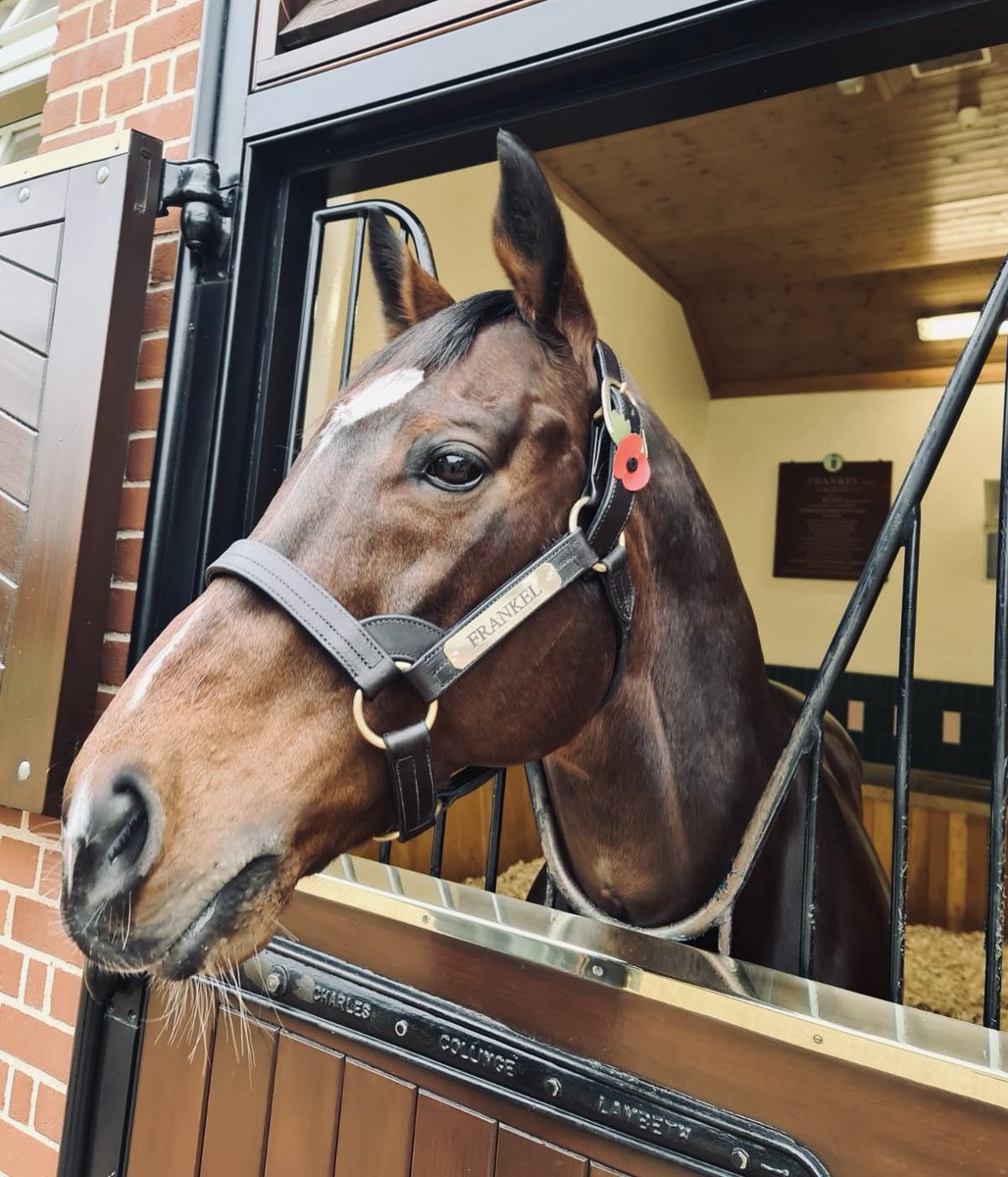 Juddmonte tweet media