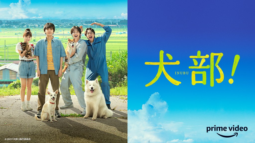 PrimeVideo_JP's tweet photo. #林遣都 #中川大志 出演
　　『#犬部！』
本日配信スタート🐕🐾

実在した動物愛護サークルをもとに
人と動物の心を描いた青春 “犬ラブ” ムービー

三度の飯より動物が好きな獣医学生たちが
命を守るため青春を駆け抜けた
未来へつながる物語

▶https://t.co/Ci7iWU8TuG https://t.co/fQsXftehzR
