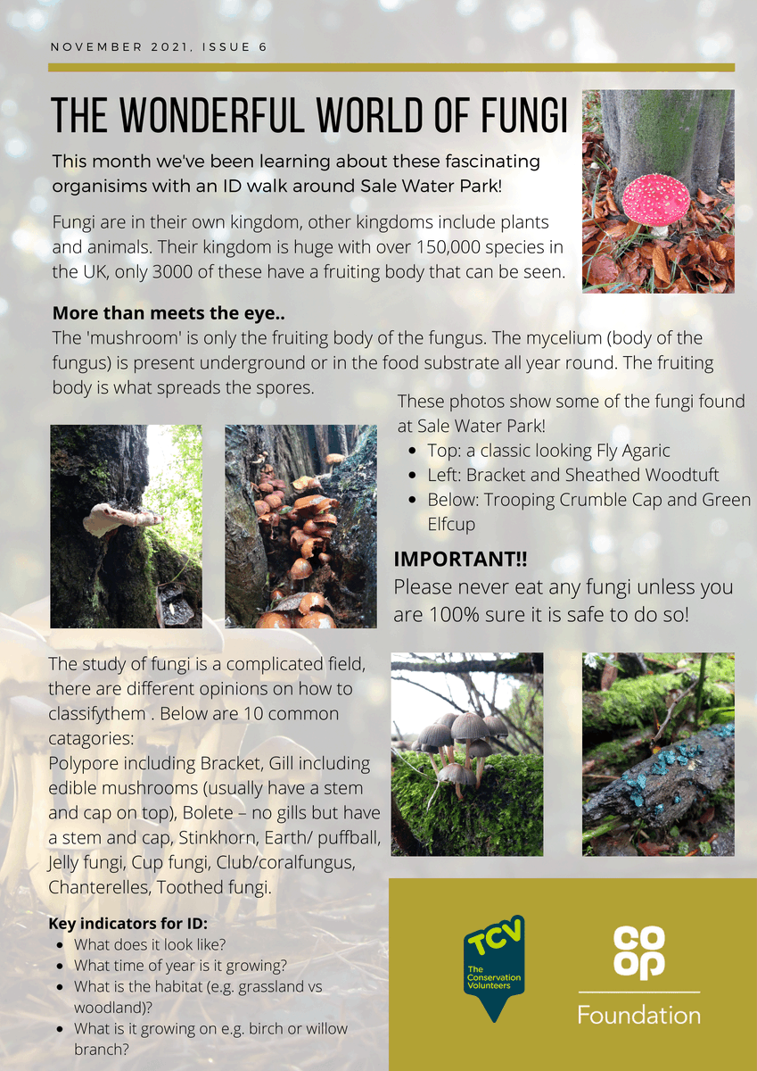 TCVManchester's tweet photo. The latest edition of our Newsletter for Trafford Greenspace Groups is out! Get in touch if you want to read the full pdf version ππππ»πΏ @Coop_Foundation @TCVtweets
#trafford #parks #greenspace #friendsofgroups https://t.co/0p8XeOnUdF