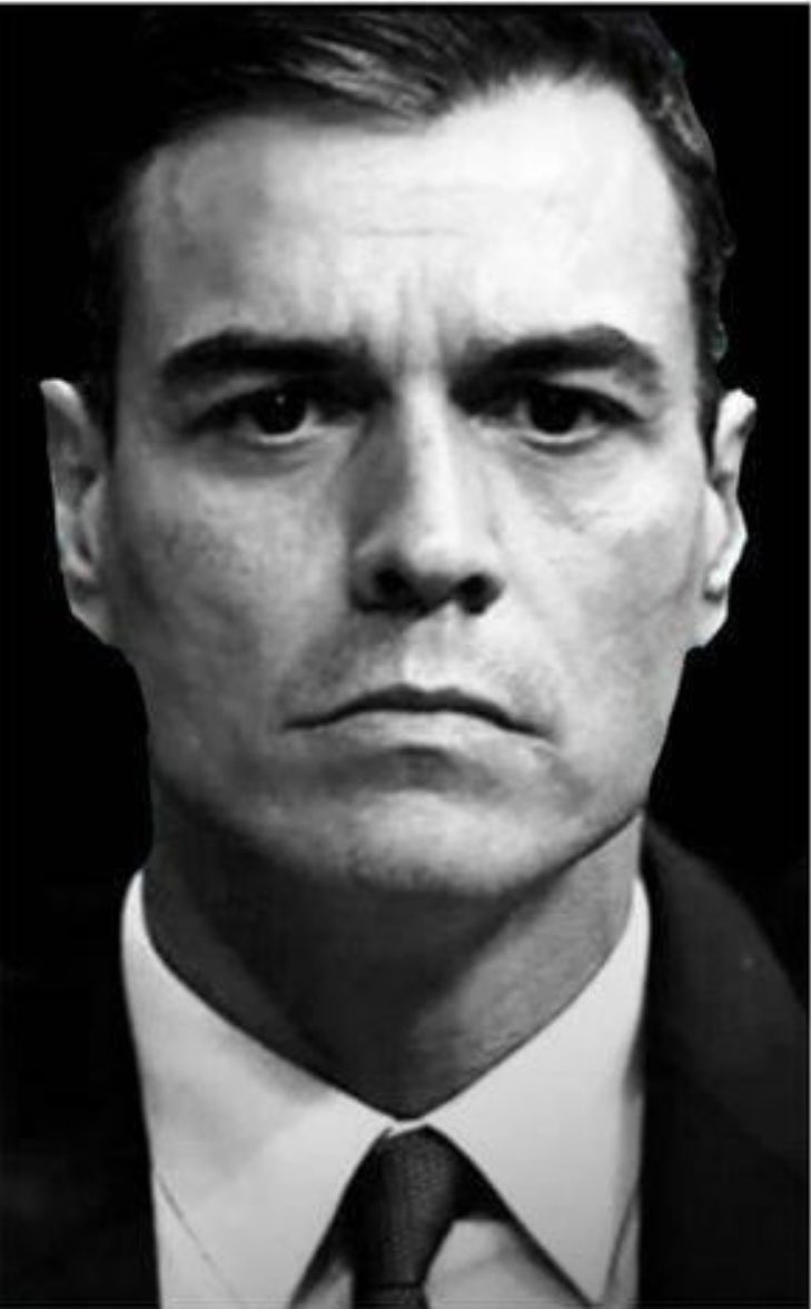 Ana 🇪🇸💚 tweet media