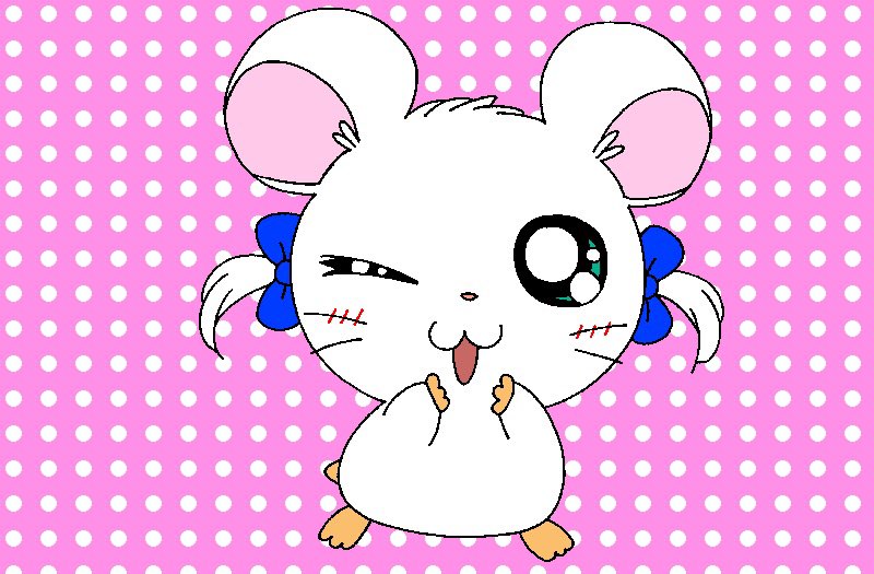 Cldk3sjmufgpum Cldk3sjmufgpum