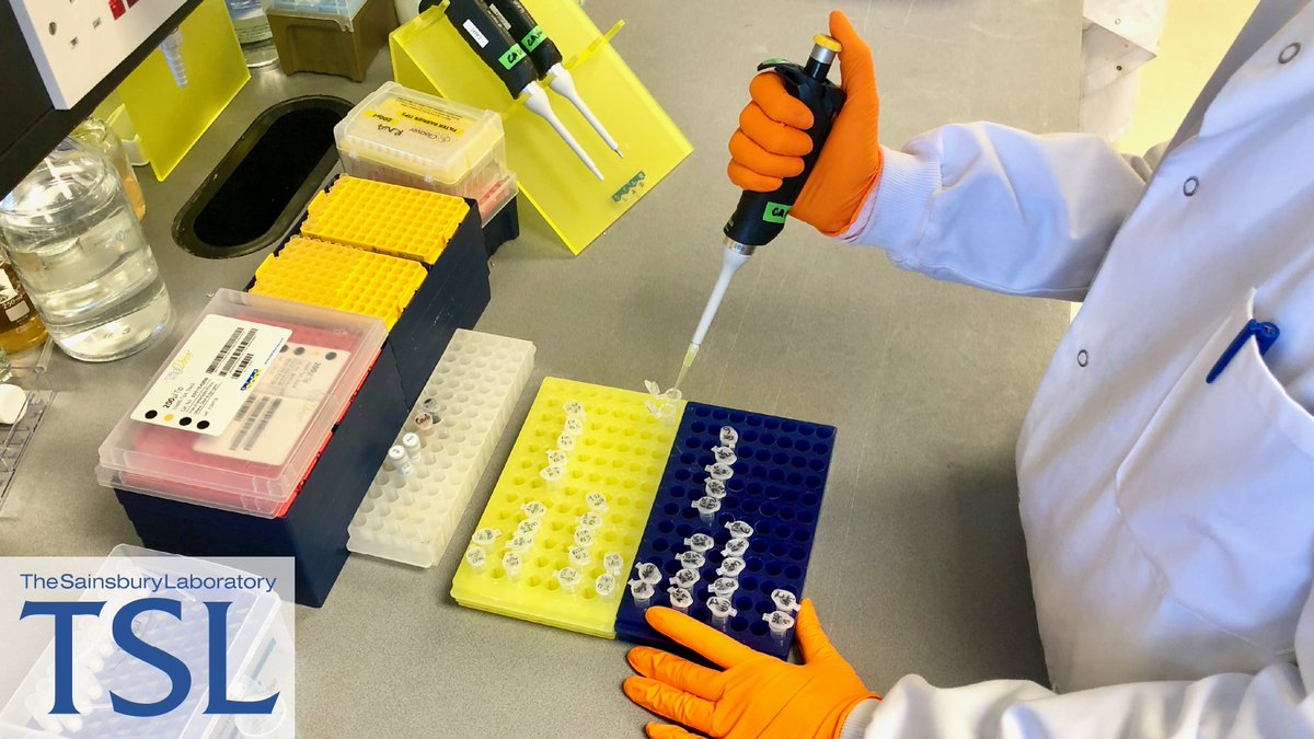 The Sainsbury Laboratory (@thesainsburylab) on Twitter photo "I think there is great potential for the TSL Technician Committee to facilitate the sharing of skills between peers, increase our visibility, and take advantage of training opportunities.โ says <a href="/Adeline_Harant/">Adeline Harant</a>
Read more here โก๏ธ
tsl.ac.uk/news/tsl-technโฆ "I think there is great potential for the TSL Technician Committee to facilitate the sharing of skills between peers, increase our visibility, and take advantage of training opportunities.โ says <a href="/Adeline_Harant/">Adeline Harant</a>
Read more here โก๏ธ
tsl.ac.uk/news/tsl-technโฆ