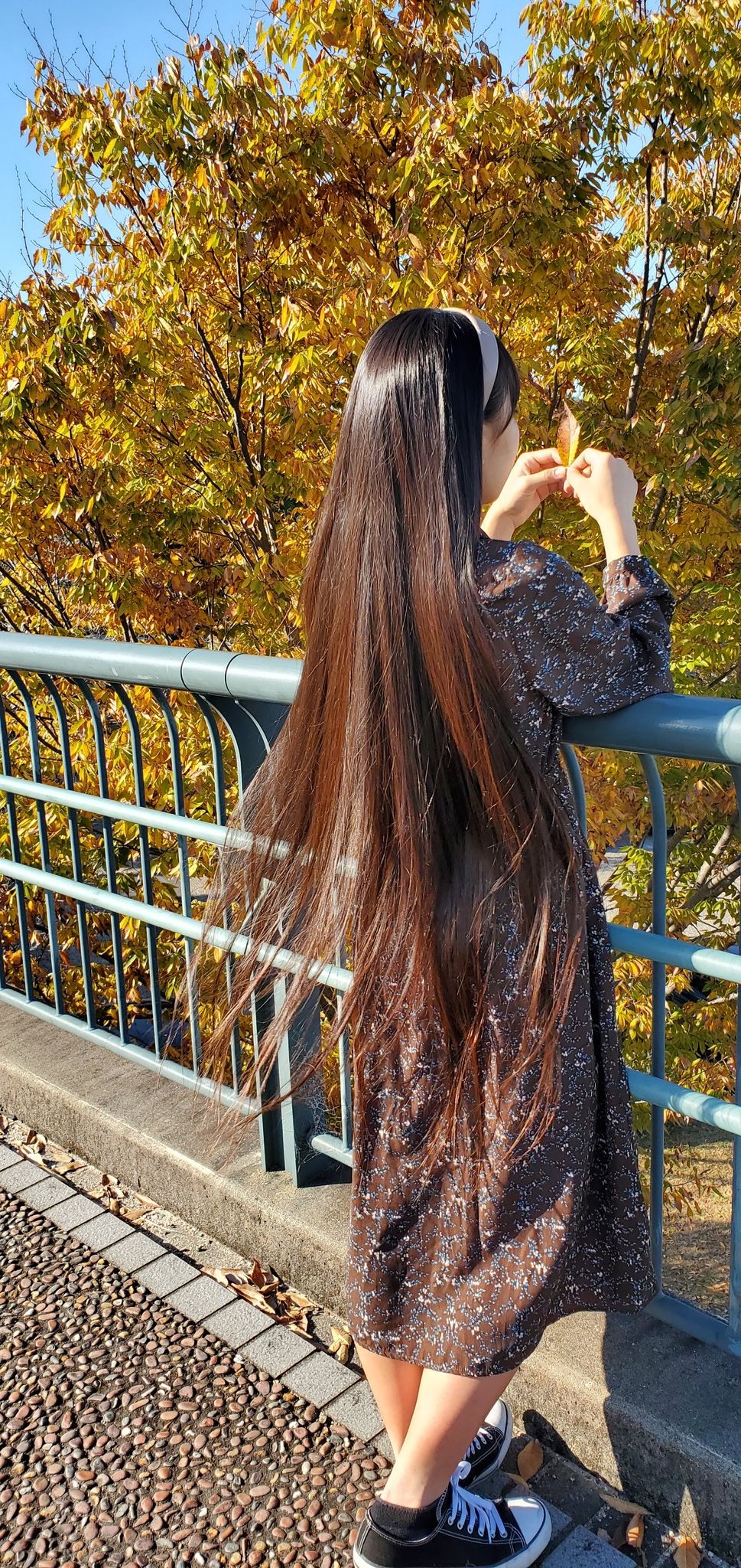 稀少!!黒髪ロングヘアーの超～♥️可愛いジェジェちゃん☆リボーン