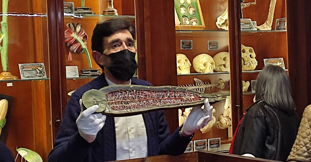 Museo Instituto Padre Suárez - Granada tweet media