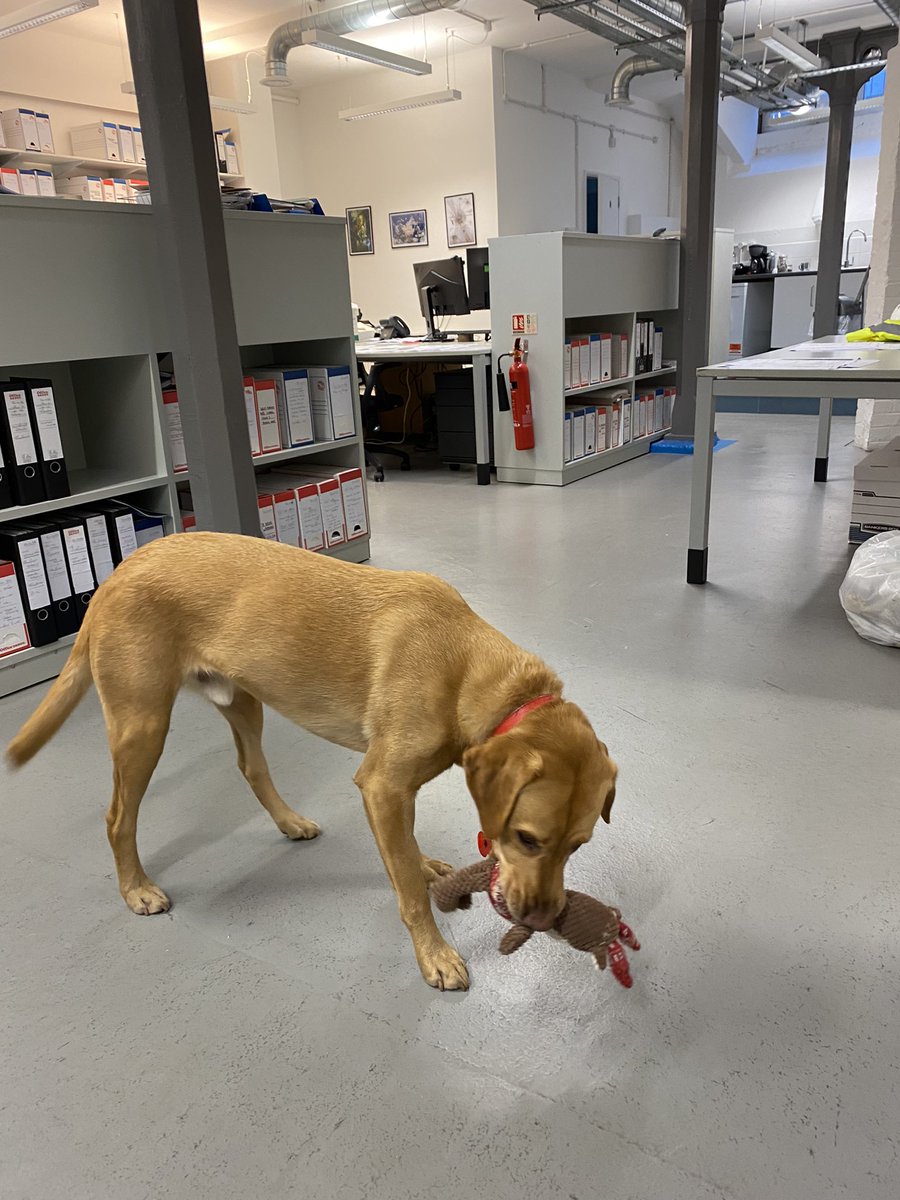 PT Projects - QS tweet media