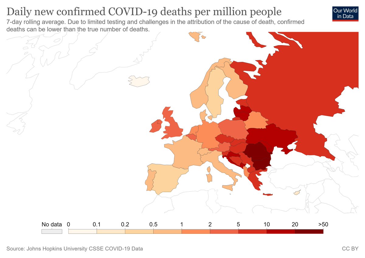 mmbarrionuevo's tweet photo. En Europa se habla de la "Pandemia de los No Vacunados"
👇Los países con mayor vacunación (azul oscuro a la izquierda) son los que menor impacto en fallecidos están teniendo.

Sigamos avanzando con la vacunación pediátrica en Argentina
Las Vacunas Salvan Vidas https://t.co/tq1HT449Dq