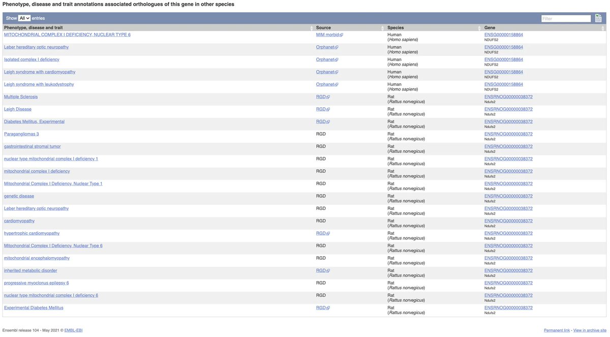 ensembl's tweet photo. González-Rodríguez et al found mouse dopamine neurons that lack the protein encoded by #Geneoftheweek Ndufs2, replicate key signatures of the neuronal degeneration observed in individuals with #Parkinsons @Nature Find more info on disease associated with Human NDUFS2 in @ensembl https://t.co/oNVSVIJfNp