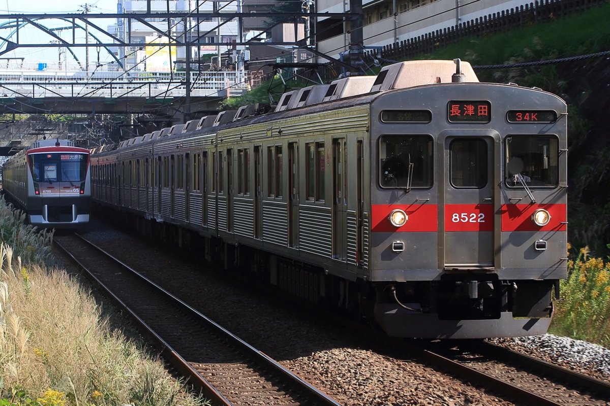 Tokuchan4698606's tweet photo. 2021年11月2日(火)
東急8500系8622F 引退へ
さまざまな難局を乗り越え、今まで活躍してきた電車が旅立ちました。
先頭車は譲渡されるようで、またどこかで愛されてほしいなと思います。
最終運用は11/1(月)の43K。
約44年間お疲れさまでした。
今までありがとう!さようなら!
#東急8500系
#8622F https://t.co/y13jrGatRh