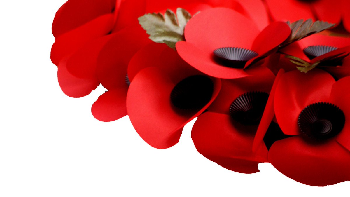 SimplyTastes's tweet photo. We will remember them today and always.
#remembranceday #remembrance #NeverForget https://t.co/D6pwrzBKW4