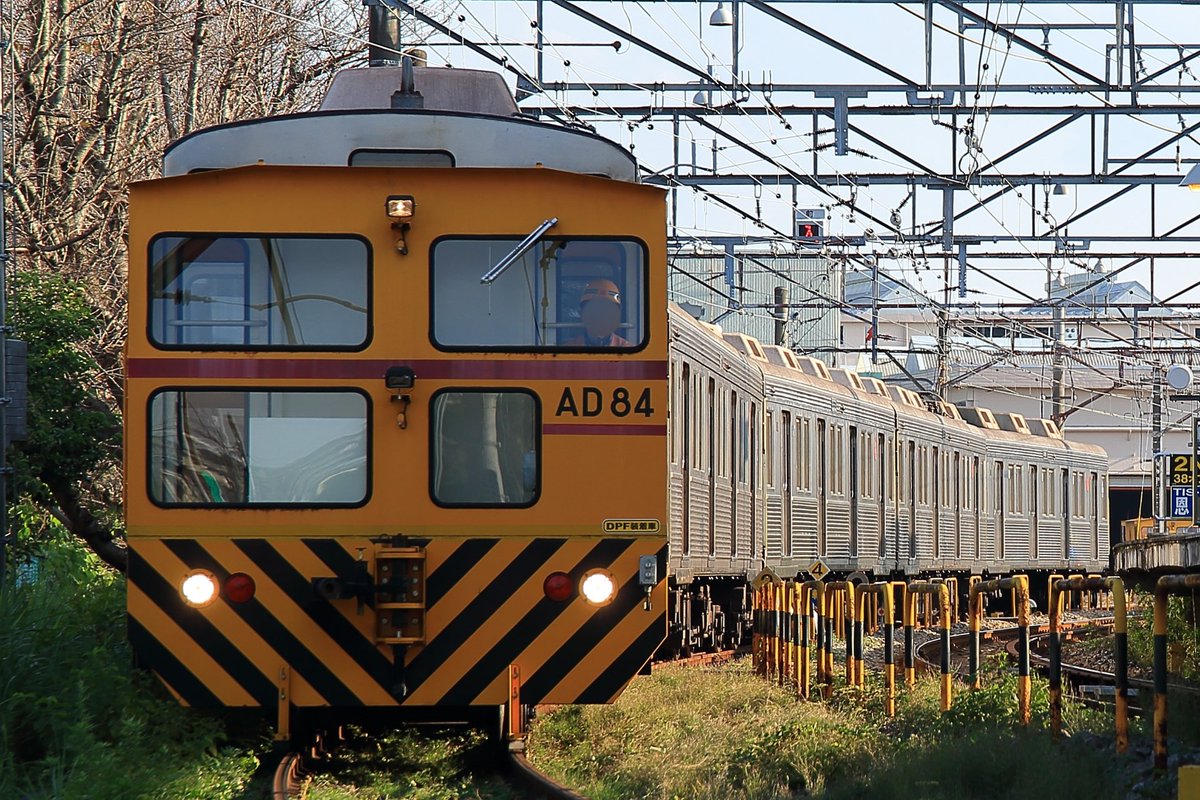 Tokuchan4698606's tweet photo. 2021年11月2日(火)
東急8500系8622F 引退へ
さまざまな難局を乗り越え、今まで活躍してきた電車が旅立ちました。
先頭車は譲渡されるようで、またどこかで愛されてほしいなと思います。
最終運用は11/1(月)の43K。
約44年間お疲れさまでした。
今までありがとう!さようなら!
#東急8500系
#8622F https://t.co/y13jrGatRh