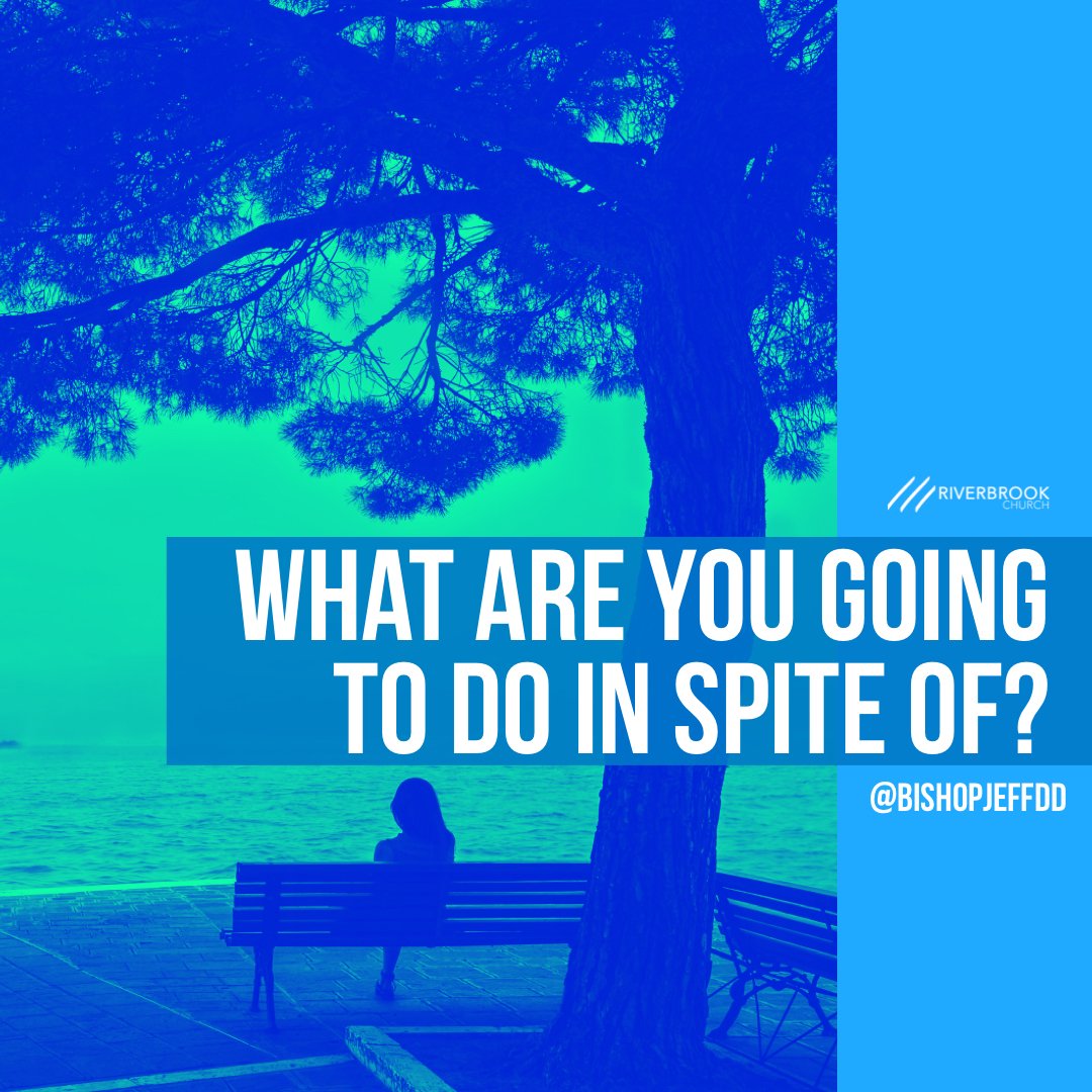 RIVERBROOKLIVE's tweet photo. There’s always going to be trials and tribulations going on around you. What are you going to do in spite of?

#TheReturn #TheOutpour #ReUp+ #Revive #90Days #StayConnected #DontGetDistracted #HisMercy #HisGrace #EverlastingLove #RWIC #Riverbrook https://t.co/TE9E4ZPWNC