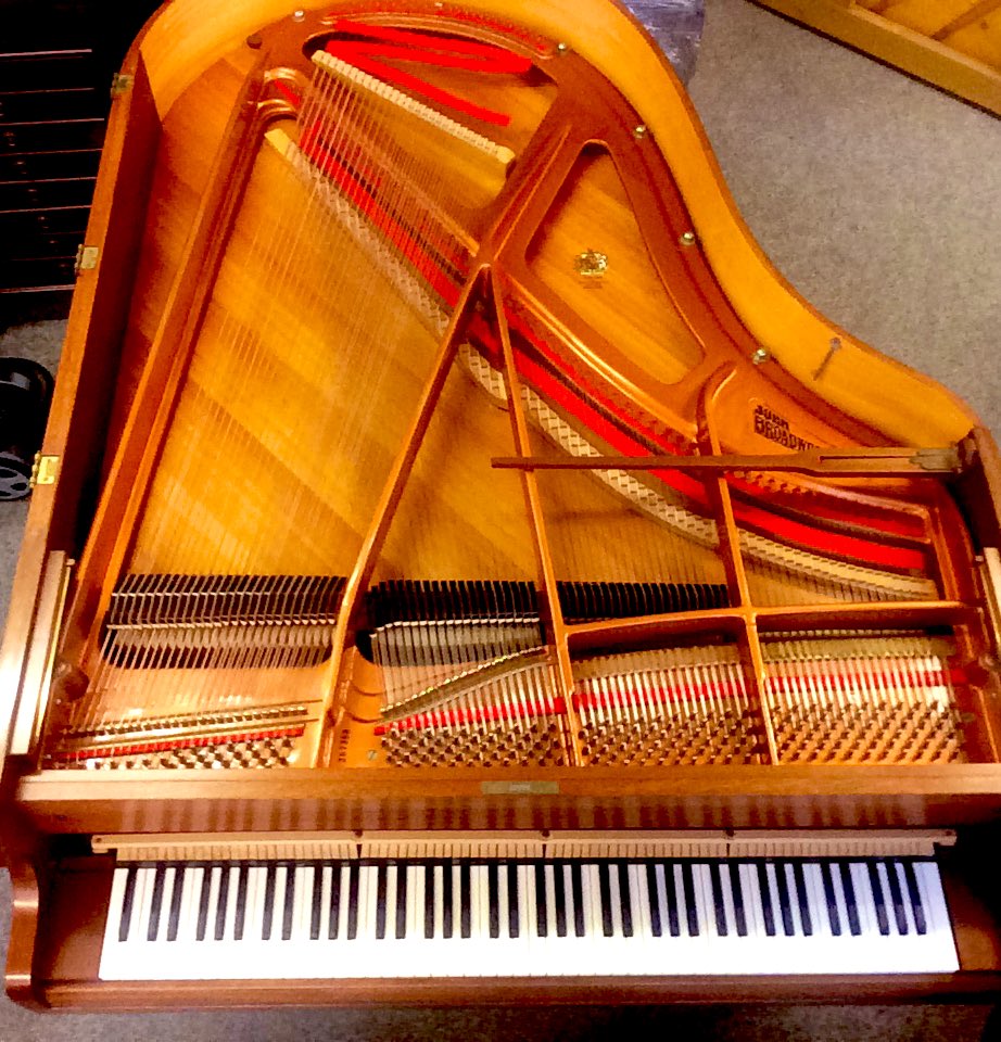 Buried under some lovely ebonies and ivories today..  a 6’10” Broadwood &amp; Sons 🎹👩🏻‍🔧 #opportunepianos #pianoismyforte