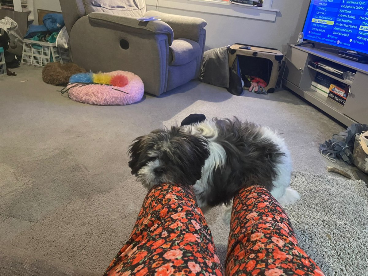 kelps1e's tweet photo. Sooo mother sent me two interesting photos yesterday… https://t.co/WXcJs6Su0x