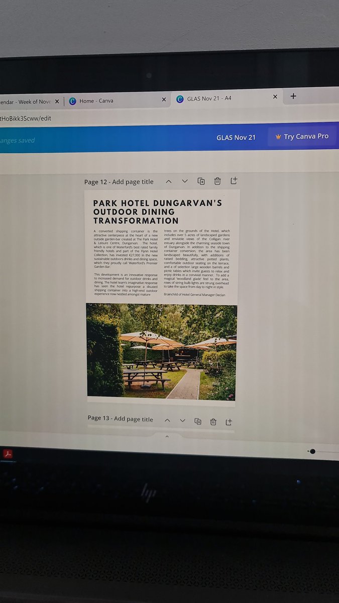 Sneak peak at what we're working on for the next edition of GLAS!

The design process is by far my favorite because it's when I finally see all the amazing work from our contributors come together in one place. We hope you enjoy reading when it's published!

🥰🐝