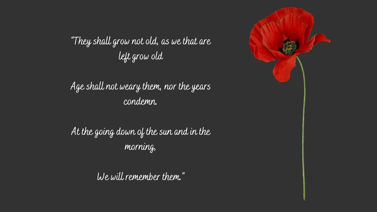 #lestweforget2021 #armisticeday