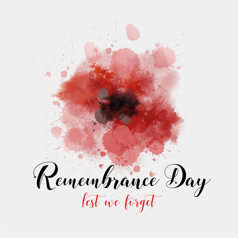 promainpaint's tweet photo. #lestweforget2021 #RememberanceDay https://t.co/gkghpVow9r