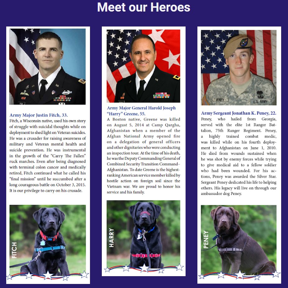 ggreeneconst's tweet photo. To All of Those Who Have Served Our Country, We Thank You. This year G. Greene has sponsored @clearpathne Service Dog Program. Through this program we were able to provide support for 6 months of medical care for one puppy. #veteransday #veterans #thankyou https://t.co/EYPtxfytCq
