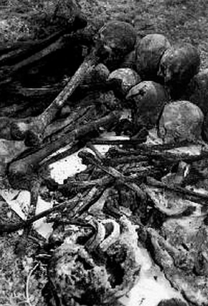 3.11.1937 в урочище Сандармох органы НКВД начали самый массовый расстрел жертв сталинских репрессий. Всего было расстреляно 6241 человек. Среди них деятели культуры, учёные, лидеры политических, национальных и религиозных движений.