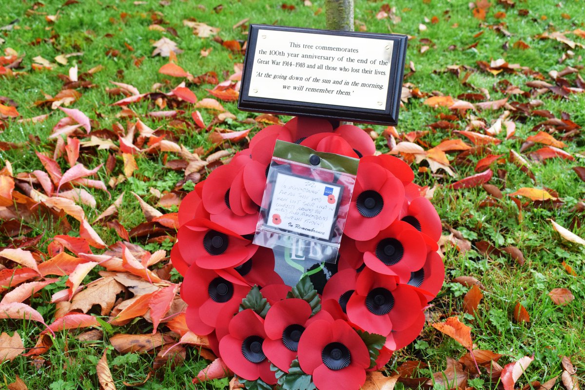 LuttHigh's tweet photo. "At the going down of the sun and in the morning, we will remember them". #RemembranceDay2021 https://t.co/1Sxer1FC3M