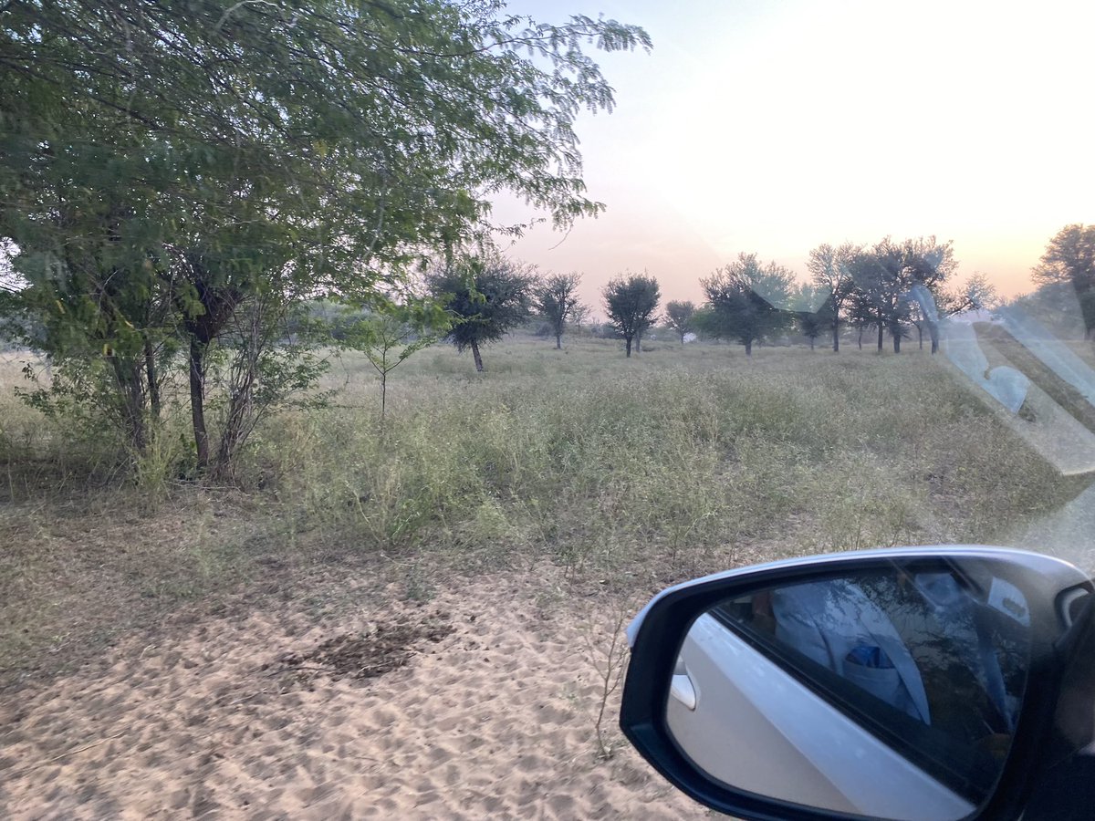 utkarsh_amitabh's tweet photo. #completelyrandom: Just saw a cow with a QR code . It was fascinating https://t.co/zIaBOqlop3