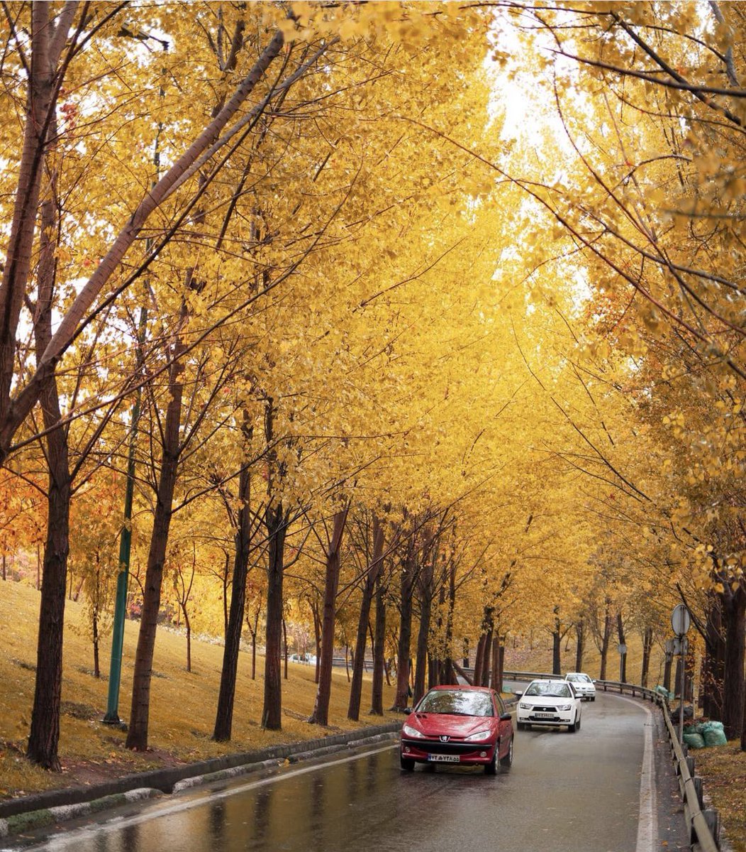 Autumn 🍂 in Tehran. 🧡
 📷 IG: mahdi_ akhgari