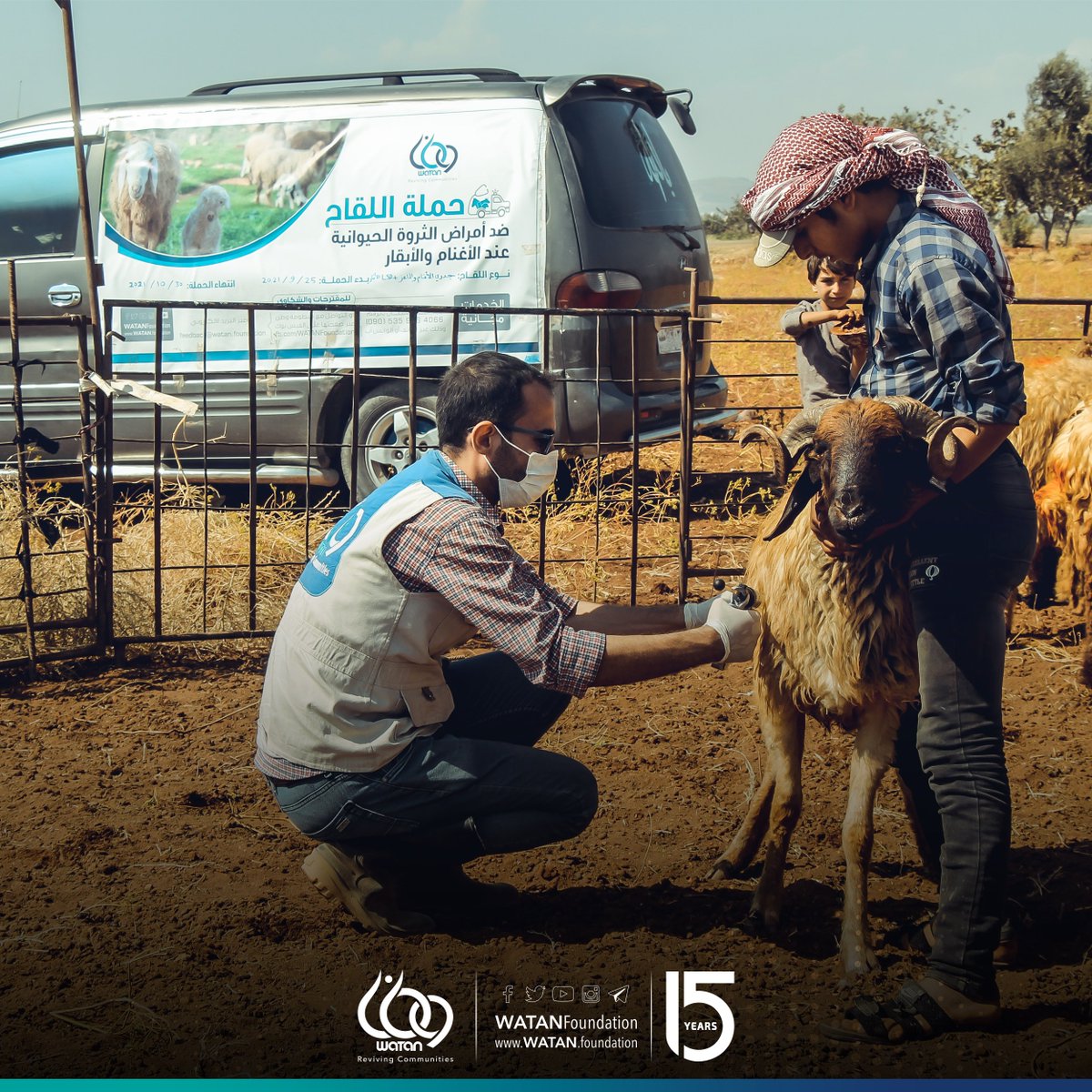 WATANFoundation's tweet photo. #WATAN finished the #vaccination campaign against #LSD, which included 2,792 heads of #cows, in addition to a campaign against #sheeppox, which included 339,177 #sheep and #goats in the countryside of #Aleppo, including the areas (#Afrin #Azaz #Akhtarin #Suran #Marea #Jandires). https://t.co/bEoeYQetmg