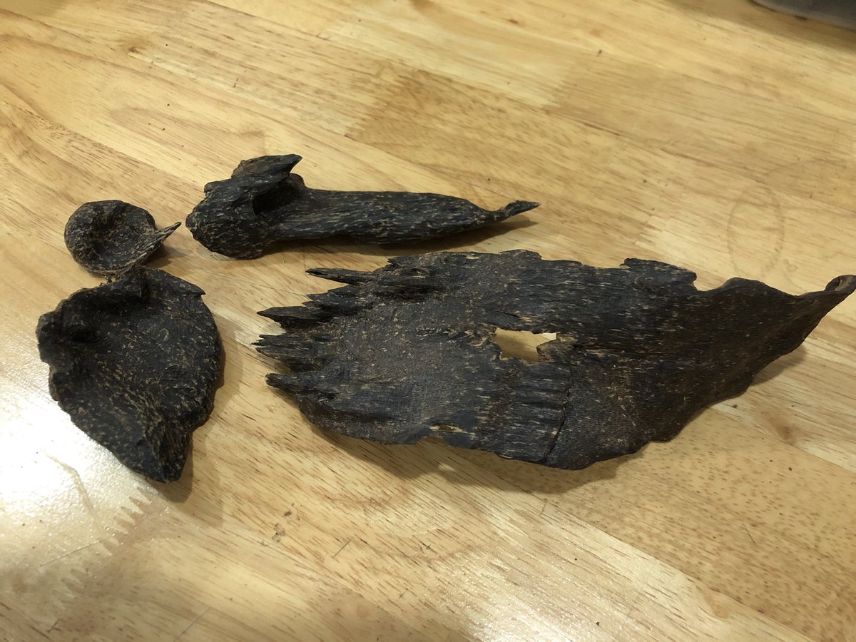 agarwood48st's tweet photo. Underwater 🐚
Very Sweet Smell
Pursat Cambodia 🇰🇭
Natural Oud 🌳
Whatsapp 📲
+855 89 704 476
#oud #oudh #agarwood #cambodiaoud #dubaioud #kuwaitoud #qatar #oman #bestoud #arabicoud #araboud #incense #kuwait #uae #royaloud #UAE #Saudiarabia https://t.co/tUP9KQZvVf