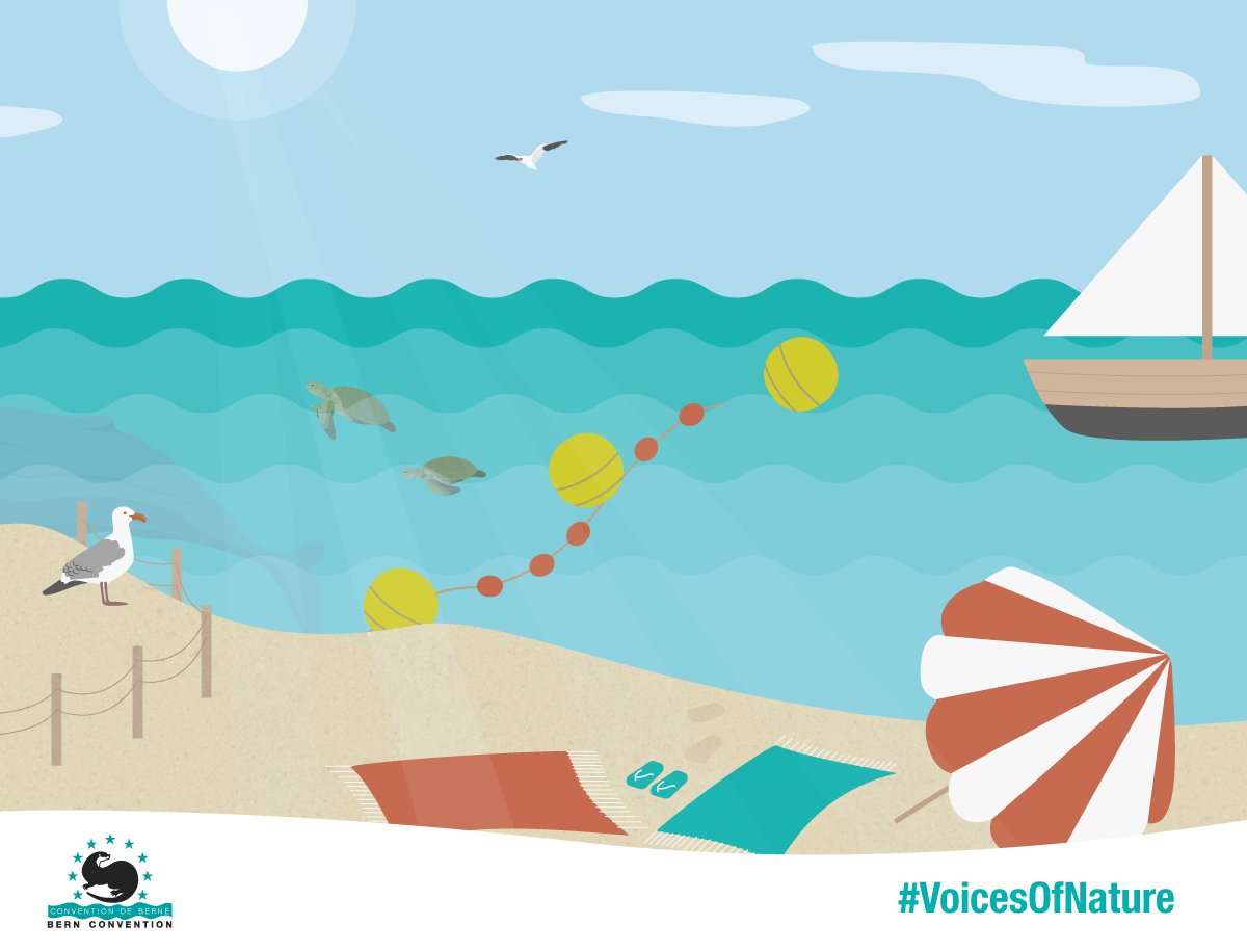 Mass-tourism seems profitable, but the damage it causes for ecosystems isn't sustainable. Environmental consultant <a href="/i_trumbic/">Ivica Trumbic</a> is reconciling economy &amp; #biodiversity preservation via sustainable tourism &amp; coastal planning. More in the #VoicesOfNature blog: voicesofnature.eu/environment-pr…