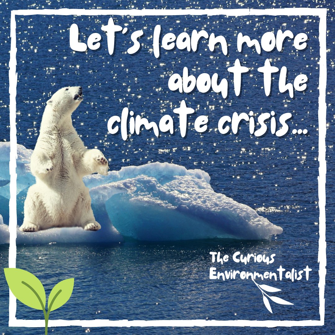 curiousenviron's tweet photo. I dive into the #ClimateCrisis to try & learn more about what is happening to this planet we call home. #StayCurious and ask the hard questions so that we can all strive to be and do better. #EnvironmentalBlogger #SciComm #EnvironmentalEducation #Climate
https://t.co/3cpCNNUSI5 https://t.co/DHmpzDxSSn