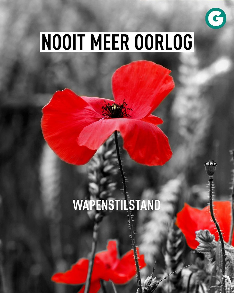 GroenBoutersem's tweet image. Vandaag herdenken we de wapenstilstand en de vele doden uit de Eerste Wereldoorlog. 

Nooit meer oorlog. Die boodschap moeten we blijven en blijven herhalen. Nu en in de toekomst 🌹 #wapenstilstand