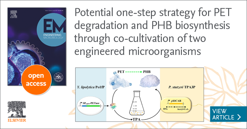 The management and recycling of plastic waste is a challenging global issue. Read this #openaccess article that provides a new strategy for the biodegradation and upcycling of PET waste by artificial microflora. #EngineeringMicrobiology sciencedirect.com/science/articl…