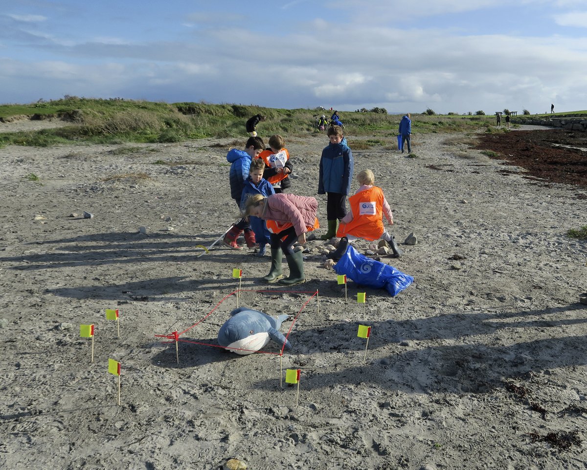 CleanCoasts's tweet photo. Well done to the volunteer ocean detectives helped @GalwayAquarium's #OceanDetective mystery on Salthill in #Galway! Great job everyone 🙌 #MarineLitter #CleanCoasts @GMIT_Research @EoinCullina https://t.co/MGigmcc8AJ