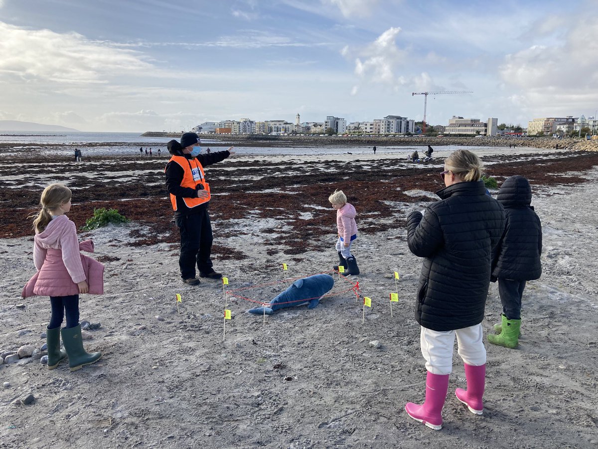 CleanCoasts's tweet photo. Well done to the volunteer ocean detectives helped @GalwayAquarium's #OceanDetective mystery on Salthill in #Galway! Great job everyone 🙌 #MarineLitter #CleanCoasts @GMIT_Research @EoinCullina https://t.co/MGigmcc8AJ