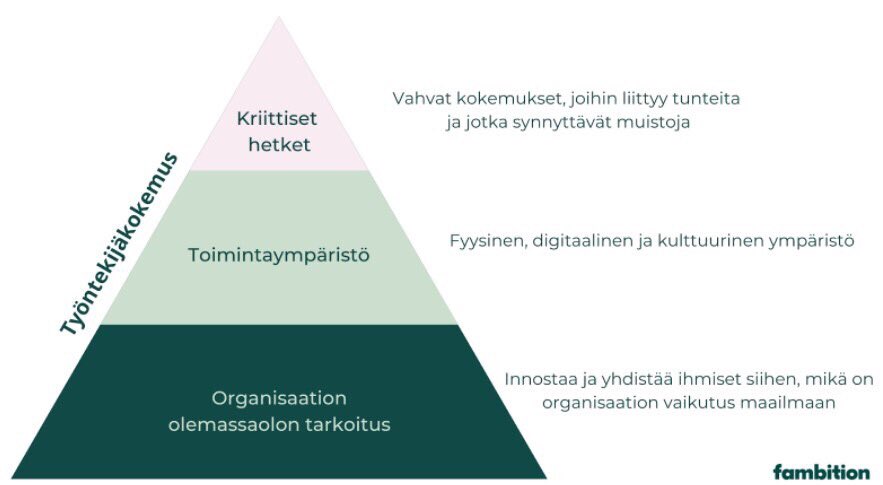 fambition_fi's tweet photo. #työntekijäkokemus voidaan jakaa 3 eri tasoon, jotka harvoin tulevat kaikki huomioiduksi. Aitoa kokemusta ei voida ymmärtää ilman, että pureudutaan myös pyramidin kärkeen ja perustaan: työntekijäkokemuksen kriittisiin hetkiin sekä organisaation olemassaolon tarkoitukseen. https://t.co/C9hJBcELUz