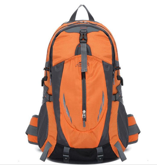 AmusingImpex's tweet image. 