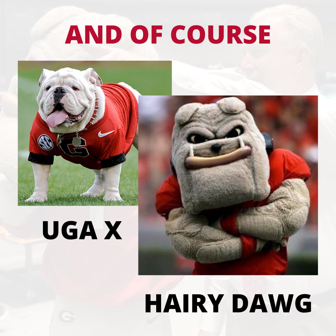 UGA_BOOKSTORE's tweet photo. Get ready for our annual ALUMNI NIGHT on Friday, November 19th from 5:00-7:00 PM in-store.

It’s a great time to stock up on autographed copies of books by UGA alumni and friends as well as take a picture w/ UGA X &amp; Hairy Dawg for this year’s holiday cards. #GoDAWGS https://t.co/uMulomZb2t