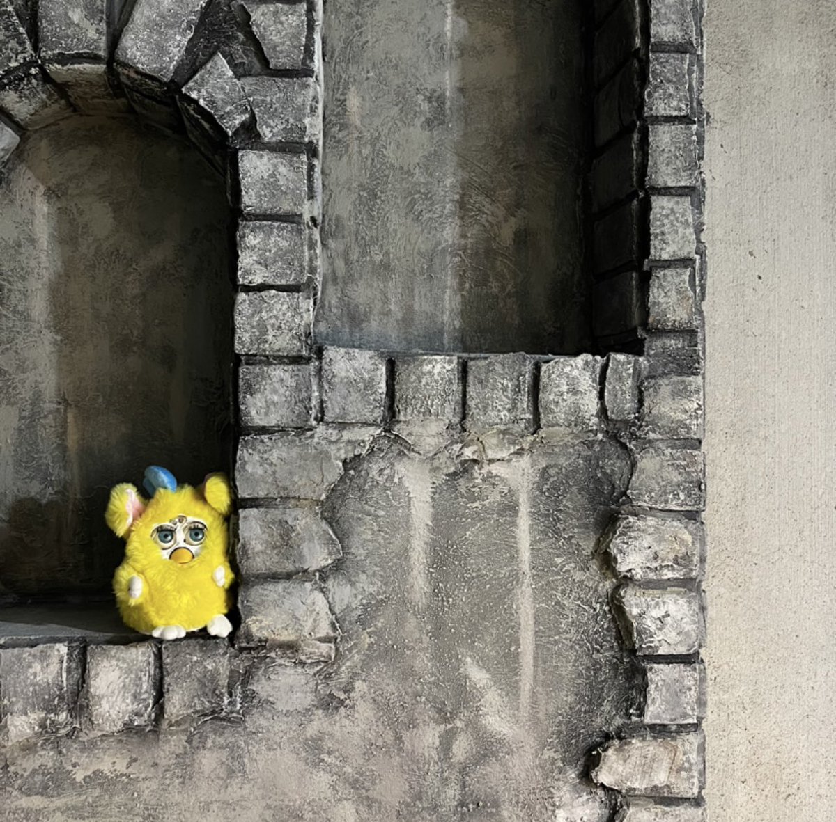furby_nushi's tweet photo. 21.11.11
#furby #γγ‘γΌγγΌ #Peebo #γγΌγ
https://t.co/rS0bfUr9fa https://t.co/ULPyRGt0Ss