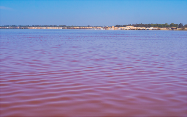 Landtours's tweet photo. #LakeRetba:  Located on the north of the cap Vertpeninsula of Senegal, Lake Retba is known for its unusual vivid pink colour during the dry season from November to June. The pink colour is caused by the Dunaliella salina bacteria. #FeaturedDestination #PinkLake #Landtours https://t.co/YFaamnpsbX