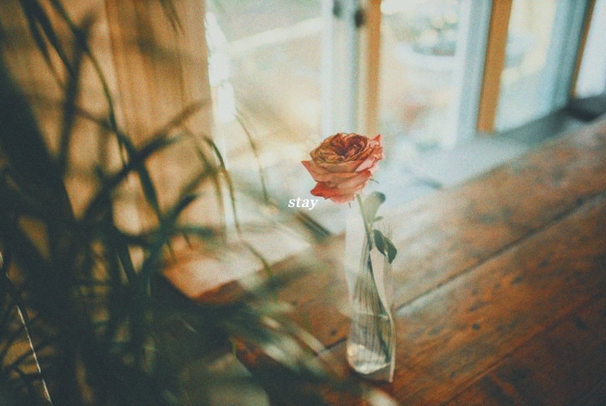 stardust_ent's tweet photo. ㅤ
ㅤ
ㅤㅤㅤㅤWhen 𝒘𝒆 finally become a “𝒘𝒆”,
ㅤㅤㅤㅤSo 𝑰 𝒘𝒐𝒏'𝒕 just pass by 𝒚𝒐𝒖.
ㅤㅤㅤㅤSo 𝑰 𝒄𝒂𝒏 recognize 𝒚𝒐𝒖.
ㅤㅤㅤㅤ𝑷𝒍𝒆𝒂𝒔𝒆 𝒔𝒕𝒂𝒚 𝒕𝒉𝒂𝒕 𝒘𝒂𝒚.
ㅤ
ㅤ https://t.co/0ezCUSQi3w