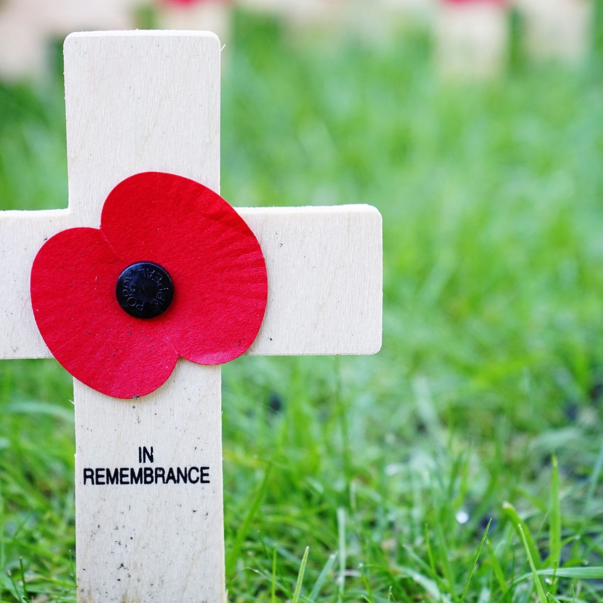 AveryConstruct2's tweet photo. Today we remember the fallen. 

#averyconstruction #construction #saultstemarie #thesoo #northernontario https://t.co/W4K4ZnXTdf