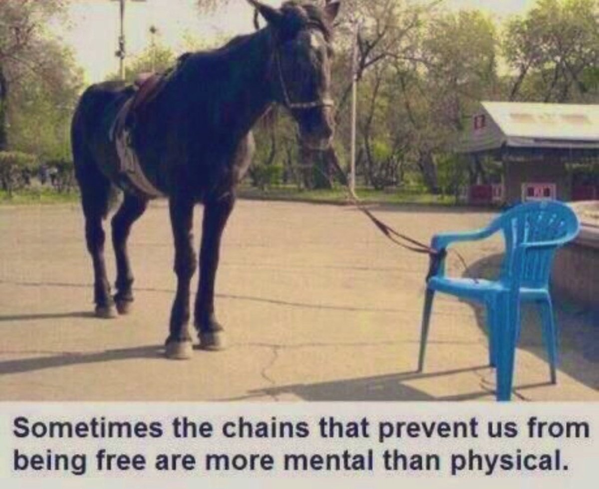 fintechtok's tweet photo. Stop letting your demons from the past impact your destiny 🙏 #ThursdayMotivation #ThursdayMorning #Motivation #Destiny https://t.co/qraDUFWQOa