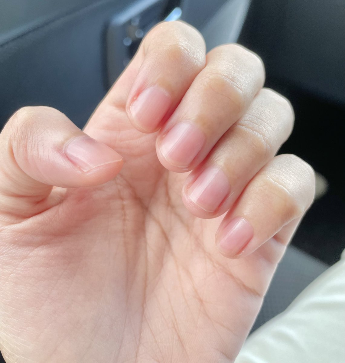 Han Kweeninn Twitter