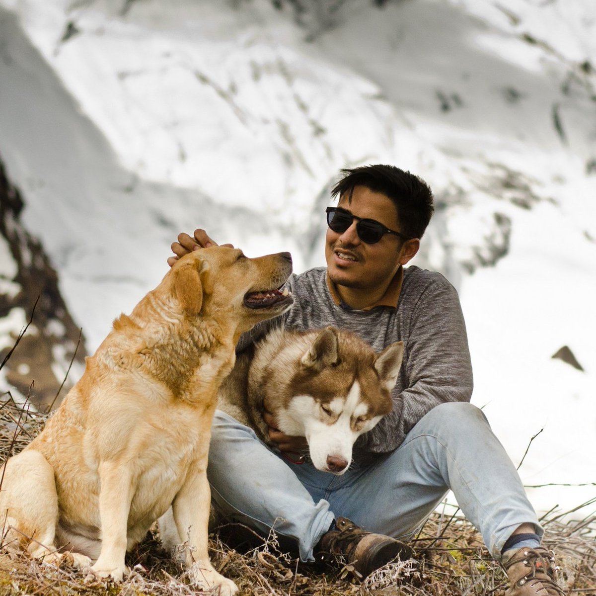 HimalayanHusky2's tweet photo. Zindagi #NewProfilePic https://t.co/XAXJcgdvuZ