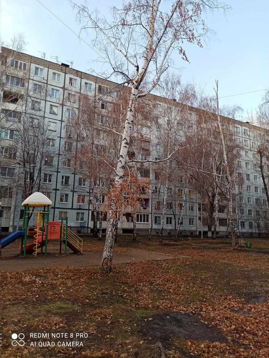 uliamalova's tweet photo. @promadm @SODEDDS @E_Lapushkina @D_Azaroff @7Ratkevich @MP_Blago63 Вот это. Но таких на площадке много, с сухими ветками, опилку последний раз делали лет 6 назад https://t.co/ZccTm2hQ49