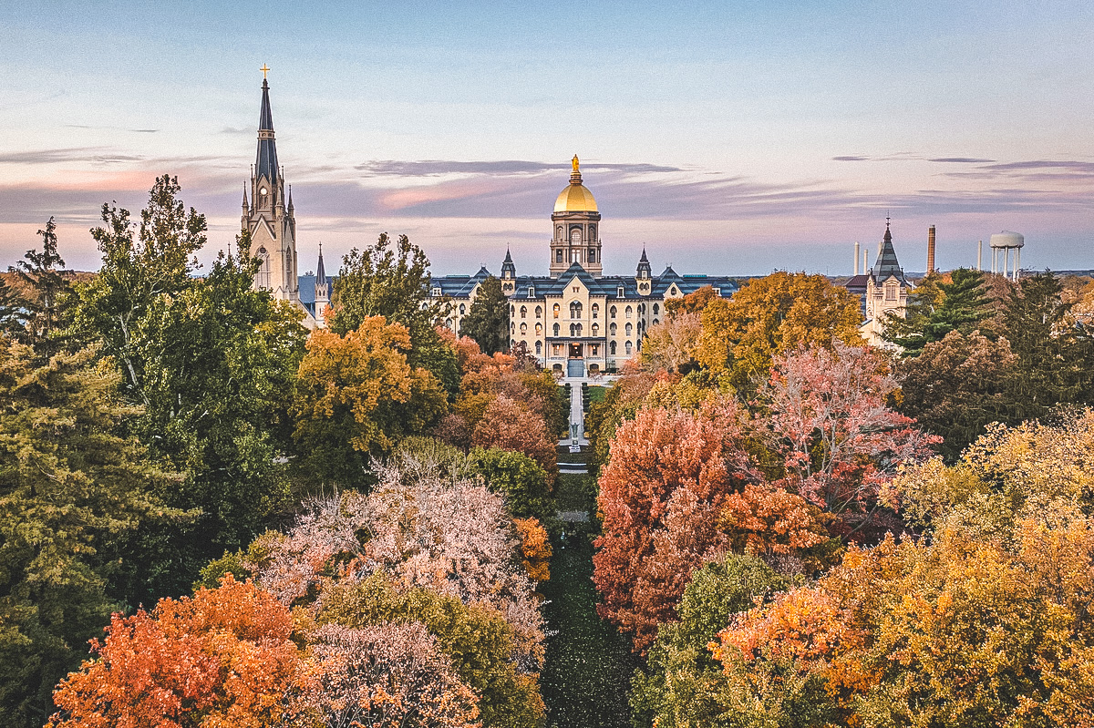 Autumn leaves falling down like pieces into place.

#GoIrish
