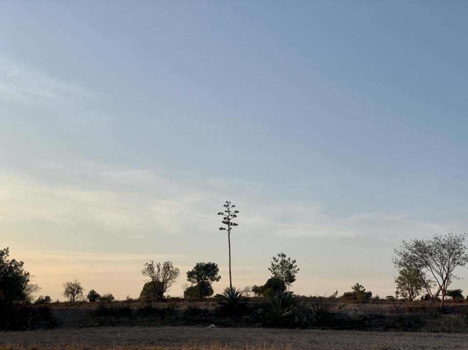 Lou Bank tweet media