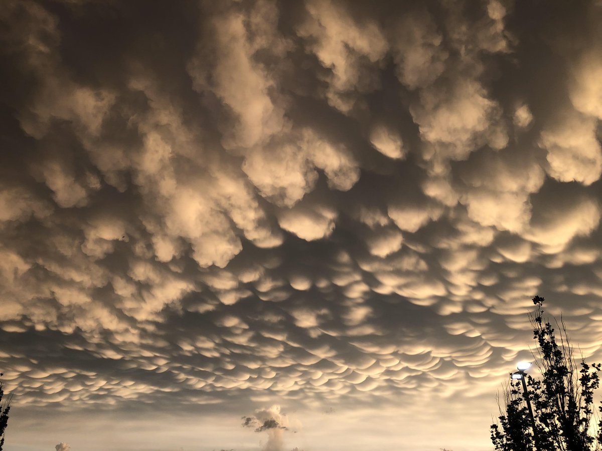 One420Nation's tweet photo. #alien #cloud #grey https://t.co/WG0RDvsXa4